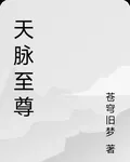 天脈至尊 封面