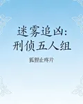 迷霧追兇：刑偵五人組 封面