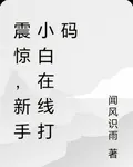 震驚，新手小白在線打碼 封面