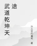 武道乾坤天途 封面