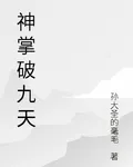 神掌破九天 封面