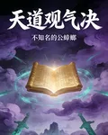 天道觀氣決 封面