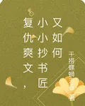 復仇爽文，小小抄書匠又如何 封面