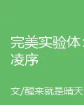 完美實驗體：凌序 封面