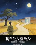 我在他鄉望故鄉 封面