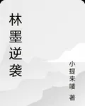 林墨逆襲 封面