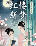 紅樓新夢 封面