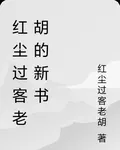 紅塵過客老胡的新書 封面