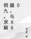 銅九，求解器，與X60 封面