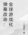 彈幕改命：全球遊戲化 封面