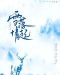 雪落情起 封面