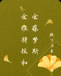 金維特拉和金菲夢斯 封面