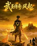 武聖傳奇：風起 封面