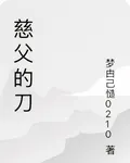 慈父的刀 封面