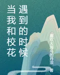 當我和校花遇到的時候 封面