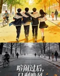 喧鬧過後，只剩晚風 封面