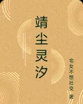 靖塵靈汐 封面