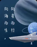 向海而生，向星而行 封面