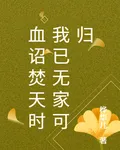 血詔焚天時我已無家可歸 封面