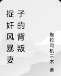 捉姦風暴妻子的背叛 封面