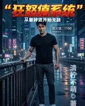 狂怒值系統 封面