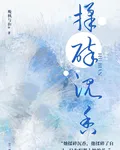 揉碎沉香 封面