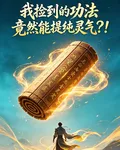 我撿到的功法竟然能提純靈氣？！ 封面
