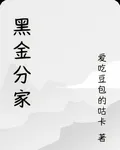 黑金分家 封面