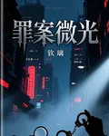 罪案微光 封面