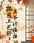 揣崽上花轎，王爺請接招 封面