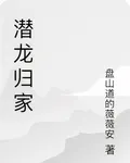 潛龍歸家 封面