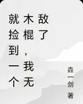 就撿到一個木棍，我無敵了 封面