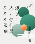 SSS級獵人：你們弱爆了！ 封面