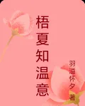 梧夏知溫意 封面