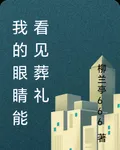 我的眼睛能看見葬禮 封面
