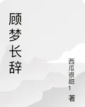 顧夢長辭 封面