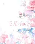 飛兒不飛 封面