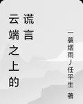 雲端之上的謊言 封面