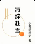 清辭赴雪 封面