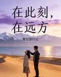在此刻，在遠方 封面