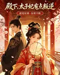 殿下，太子妃有點叛逆 封面
