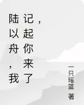 陸以舟，我記起你來了， 封面
