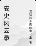 安史風雲錄 封面