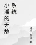 小潘的無敵系統 封面