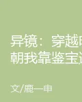 異鏡：穿越明朝我靠鑑寶逆襲 封面