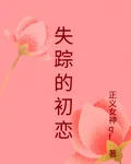 失蹤的初戀 封面