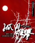 孤月難攀 封面