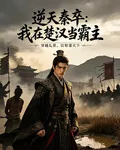 逆天秦卒：我在楚漢當霸主 封面