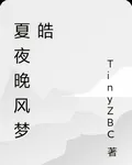 夏夜晚風夢皓 封面