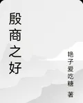 殷商之好 封面